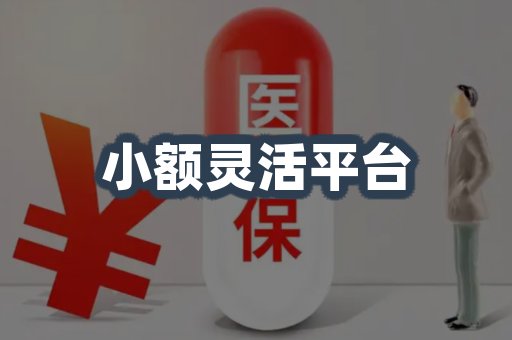 小额灵活平台